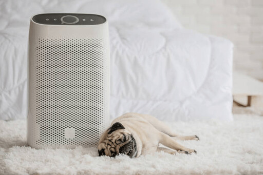 狗狗吹冷氣「這個」溫度最剛好 ! 90%飼主忽略的溫控重點