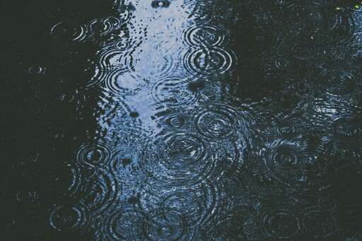 下雨天不想出門？超萌巴哥用盡各種手段就是不讓主人得逞！