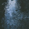 下雨天不想出門？超萌巴哥用盡各種手段就是不讓主人得逞！