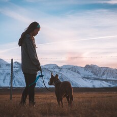 主人慘遭調皮狗玩弄？被牽繩絆倒還被搶走髮圈讓網友笑翻