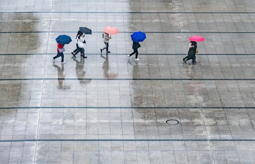 下雨天也能帶狗散步？超萌吉娃娃雨衣全副武裝讓網友心被融化