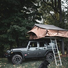 狗狗界最強模特兒？紐芬蘭犬每天被飼主「精心打扮」超時尚！