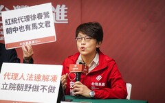 《代理人法》4年被退10次 台灣基進：民進黨團在扯賴清德後腿