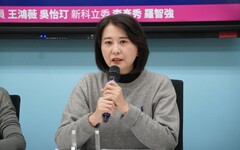 【有影】台灣民主基金會3月改組 王鴻薇控成「綠友友」小金庫