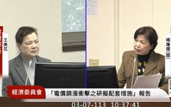 楊瓊瓔關心電價 王美花笑回：送審議委員會資料「有要漲價」