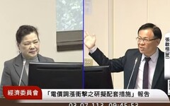 立委主張看守內閣不應漲電價 王美花：4月調漲無可避免