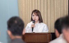 批民進黨「案海戰術」干擾議事 陳智菡：執政黨成側翼