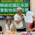 「反海上賽鴿公投」連署提前達標 動督盟揭：遭網軍恐嚇威脅