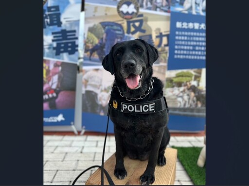 新北市甄選領養家庭 退役警犬期待有緣人