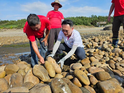 強颱過境僅輕微損壞 蘇俊賓讚：石滬堅固如「海上長城」