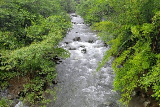 推河川「近自然工法」拆水泥疊石塊 洪申翰：兼顧生態、灌溉及防災