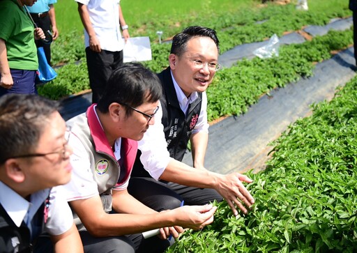 桃園市府試辦環保農膜有成效 蘇俊賓：栽植出更健康食材