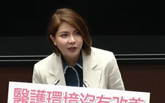 全社會防衛韌性委員會有大破口 陳菁徽：醫護問題未解只是「打假球」