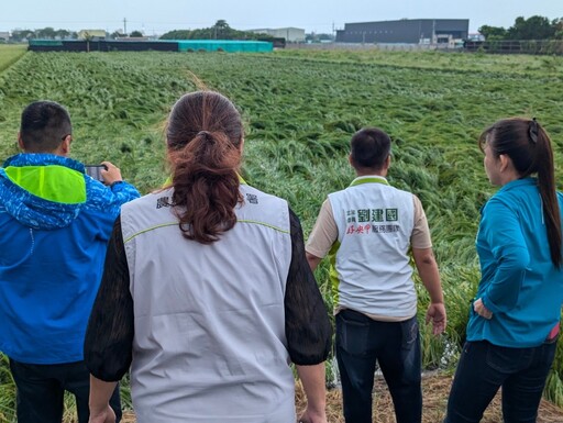 康芮颱風重創雲林水稻 劉建國促中央迅速理賠