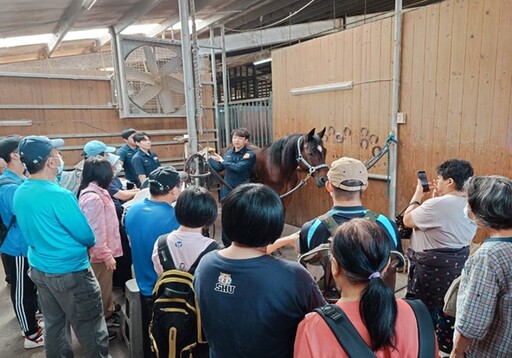 新北騎警暖心關懷弱勢 邀40位障友體驗馬術