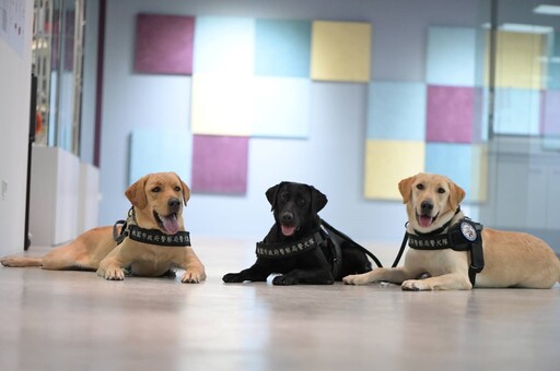 桃園警犬隊授階成軍 張善政盼犬力守護打造安居城市