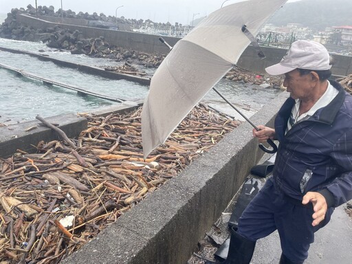 【九孔浩劫2-1】東北角養殖場遭漂流木佔據 業者盼「兩署」統籌助困境