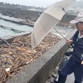 【九孔浩劫2-1】東北角養殖場遭漂流木佔據 業者盼「兩署」統籌助困境