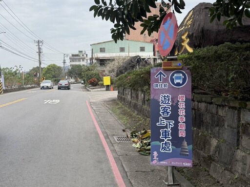 淡水無極天元宮櫻花祭登場 交管疏運資訊搶先看