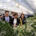 彰化縣挹注千萬助購節能燈泡 王惠美：減輕花農負擔
