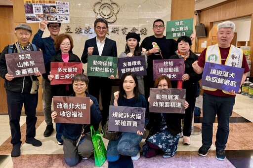 虐待動物致死最高僅判2年？ 動團籲立院加速修法強化嚇阻