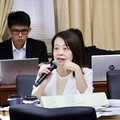 民生電價調漲恐嚴重通膨、消費緊縮 許宇甄：錯誤能源政策要改