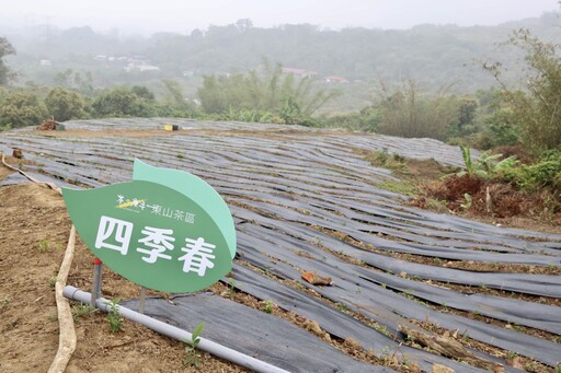 「茶之魔手」投資台南改寫農產史 黃偉哲期許開創府城茶業春天
