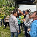台東「改良種芒果」救助即日申辦 饒慶鈴不捨：協助農友產業復甦