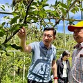 江啟臣籲解決梨赤星病農災 農業部將與台中市府共同防治