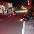1年22件 動物竄車道肇交通事故警籲落實寵物管理