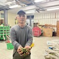【檳榔農血淚2-1】黃志華痛訴萬棵心血遭青農強取廢園 張峻批國產署坐視不管