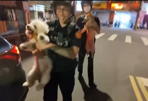 逃家毛孩深夜滿街跑 警出手「逮捕」可愛萌樣曝光