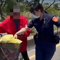 逆向驚魂 8旬翁內側車道騎單車汽機車全閃避