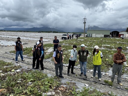 極端氣候花蓮西瓜近200公頃裂果 張峻「不忍卒睹」率各界為瓜農請命