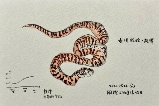 國際生物多樣性日 蘇俊賓秀自畫插圖細數桃園復育成果