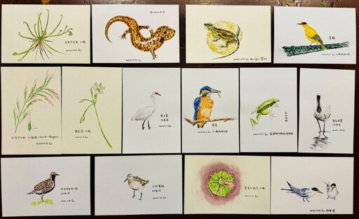 國際生物多樣性日 蘇俊賓秀自畫插圖細數桃園復育成果
