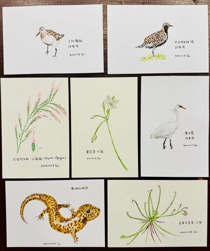 國際生物多樣性日 蘇俊賓秀自畫插圖細數桃園復育成果