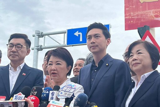 台電稱興達、大林電廠啟用是「合法」 盧秀燕籲調整能源政策