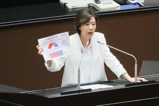 台電稱興達、大林電廠啟用是「合法」 盧秀燕籲調整能源政策