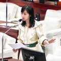 許淑華指藍白亂刪預算波及補助款 呼籲蔣萬安應先向自家立委抗議