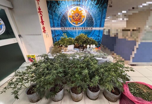 「有雞」栽種大麻 桃警破獲製毒工廠起獲1.6億大麻製品