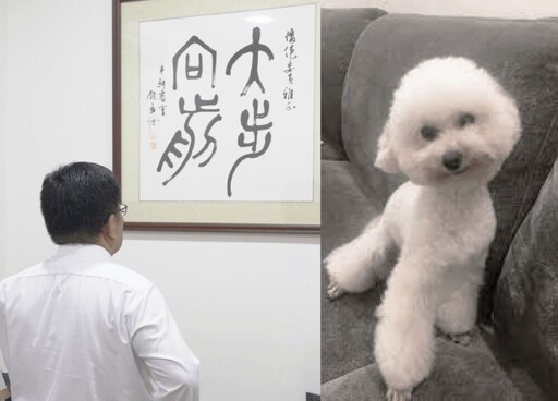 公務車送愛犬美容請辭難止血 洪孟楷列4大罪促查辦李俊俋