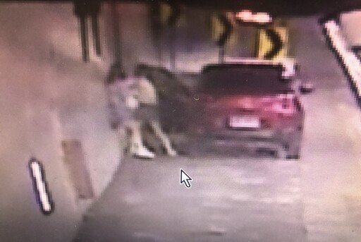 聽音樂爆口角 母女雪山隧道停車互毆26歲女被丟包