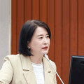 Google淪電子煙防治破口 王鴻薇諷：衛福部竟幫整理「購買大全」