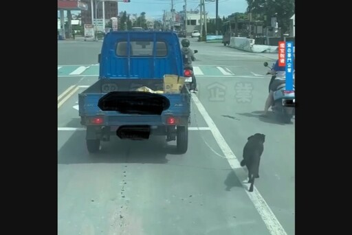 小貨車鐵鍊繫狗拖著跑 駕駛涉違兩法令同開罰