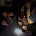 新北火警1死1傷 2友人赤裸上身開車逃被逮