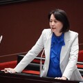 綠委發文質疑民眾公園鬼祟拍攝引熱議 王鴻薇批民進黨製造對立