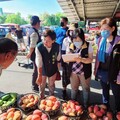 芒果品質受關注 台南市府派員查訪玉井青果集貨場