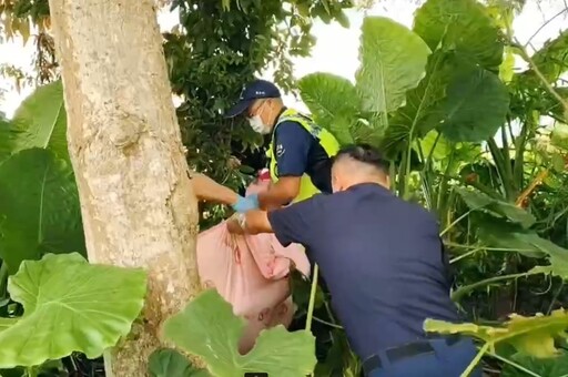9旬失智嫗走失2日 機車沿溪搜尋警所長草叢中找到人