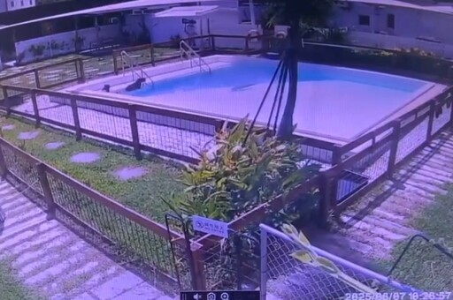 農場水豚疑被毒死 警調閱監視器擴大追查